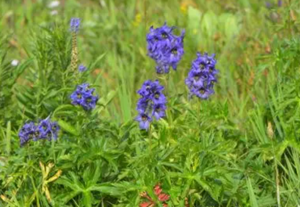 教育将在学生教师业界专家共同形成的圈层中自然生发恣意生长